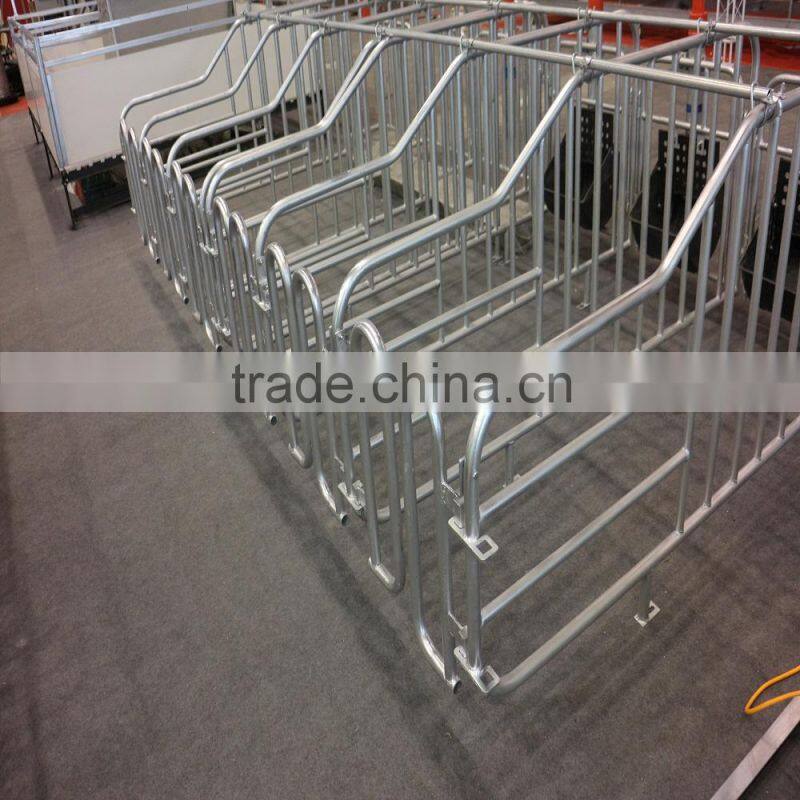 galvanized pipe for animal husbandry equipment sow cage for pig farm/c/gi steel pipe