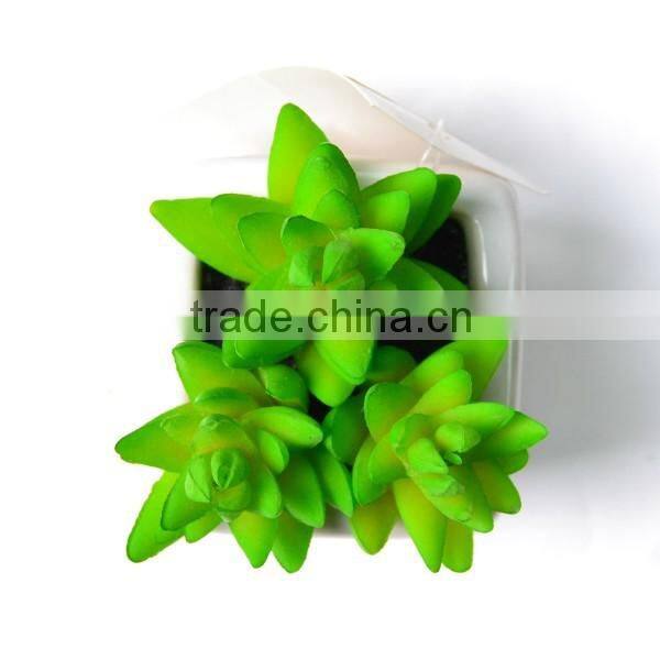 Artificial Aloe Succulents in white ceramic Planter