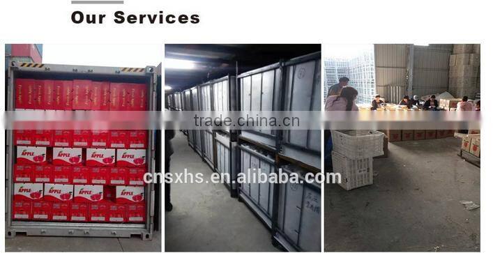 Chinese fresh honey fuji apple market price