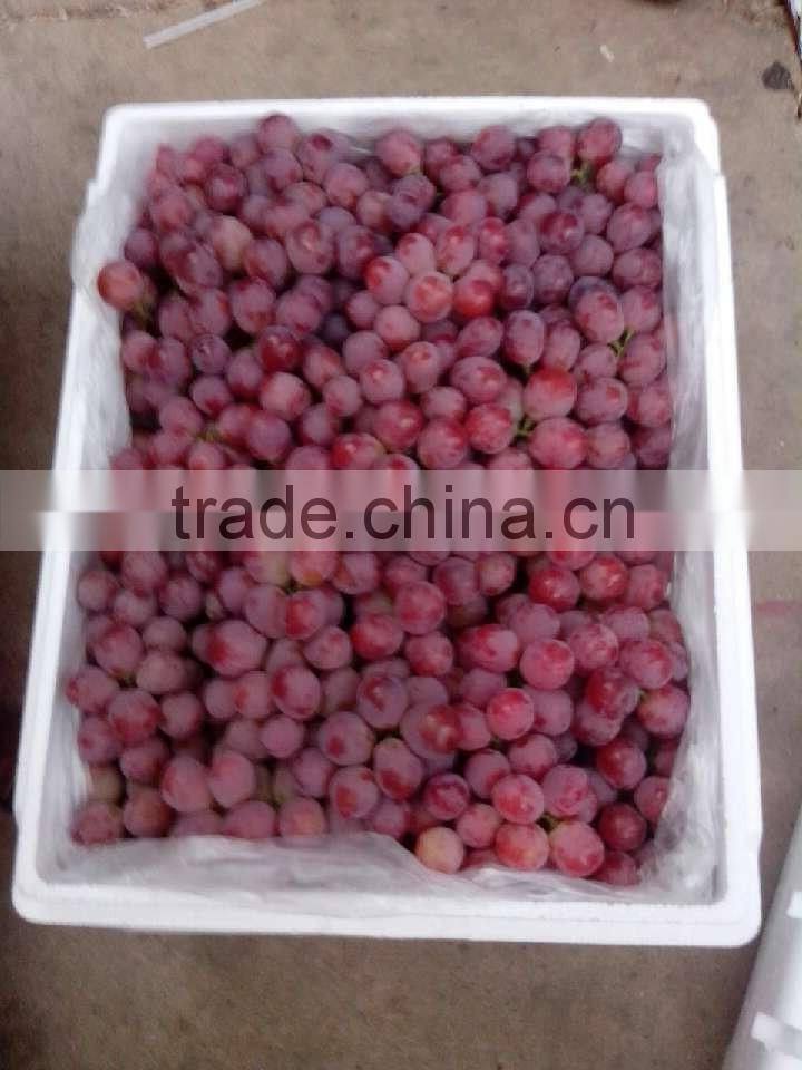 Chinese fresh fruit grape
