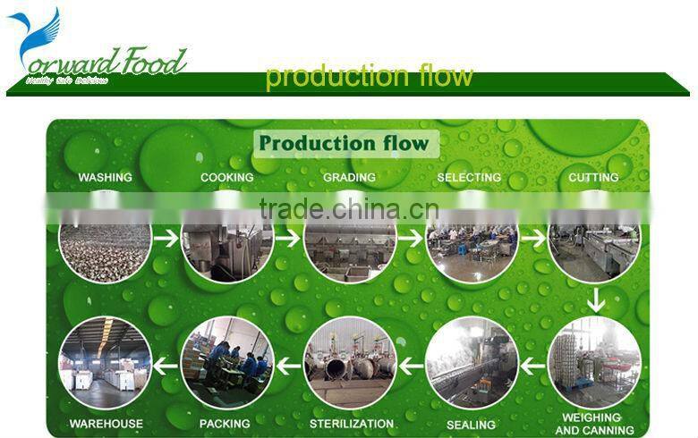 227g private label canned bamboo shoot strips in tin