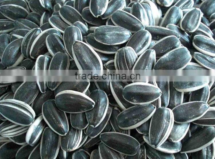 Export best sunflower seed price india