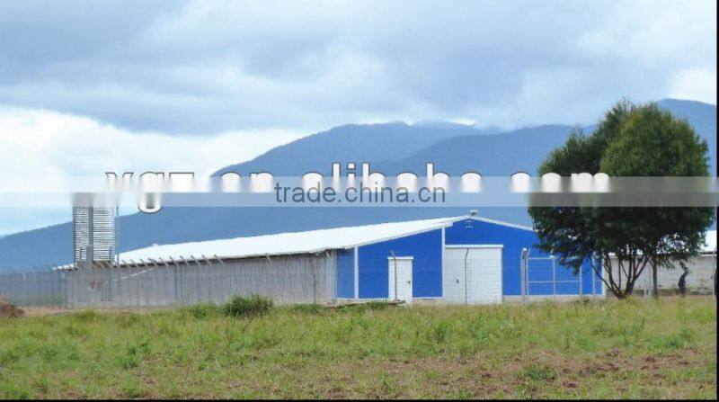 prefab steel structure layer egg chicken cage/poultry farm house design