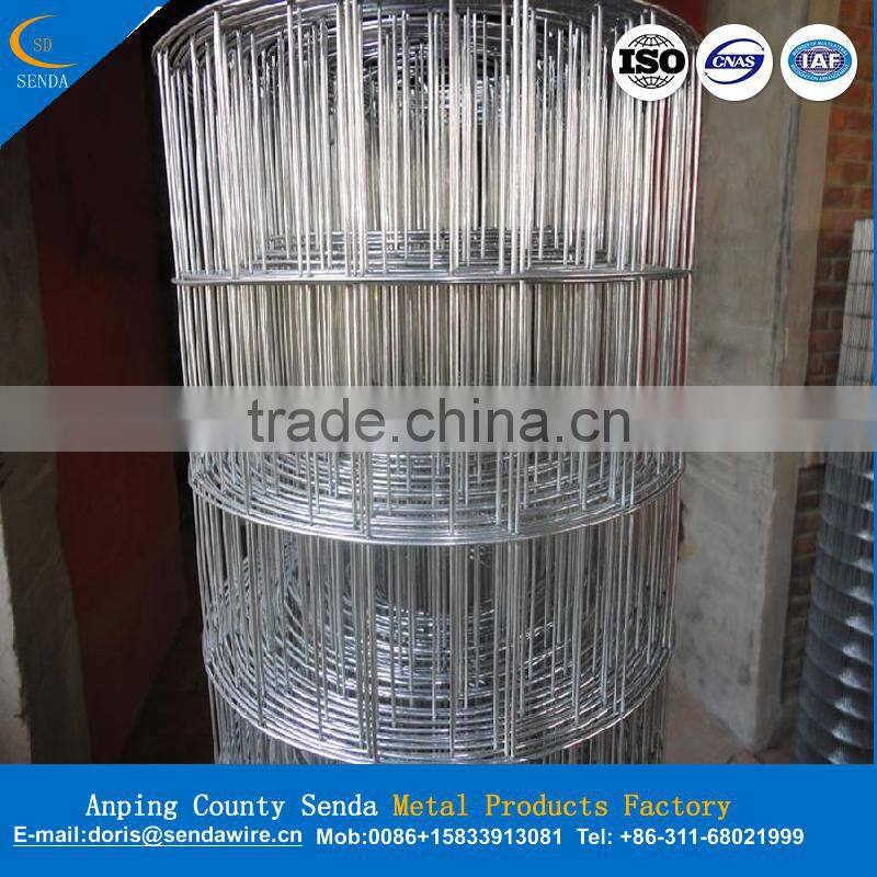 best price welded wire mesh