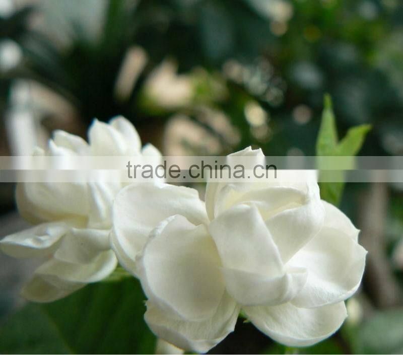 EC10 Stainless Steel Essential Oil Distill Equipment on sale