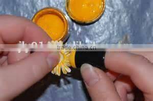 factory very hot finger sponge dauber / wholesale sponge dauber/ sponge dauber