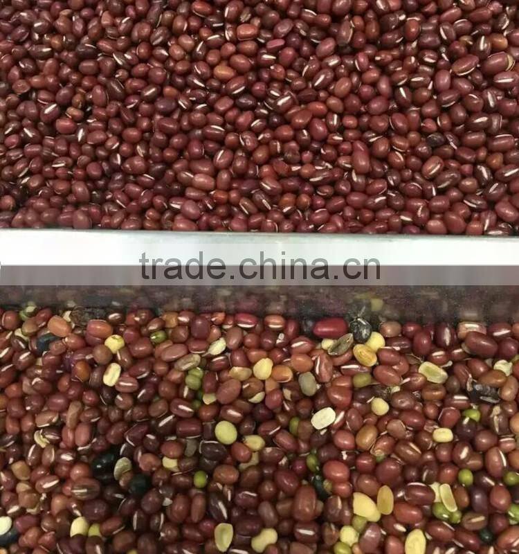 WEBEST Factory Directly Supply Coffee Beans/SoyBean/Red Bean/Ormosia Color Sorter