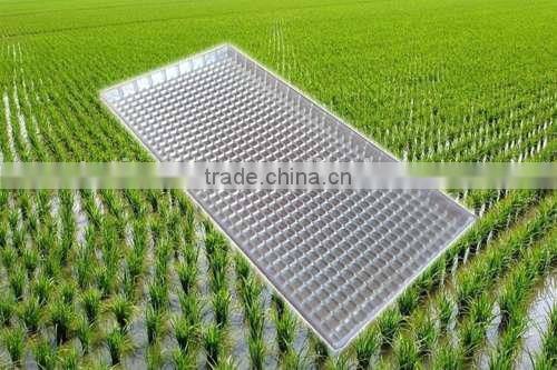 New arrival top sell low price economic propagator seed tray