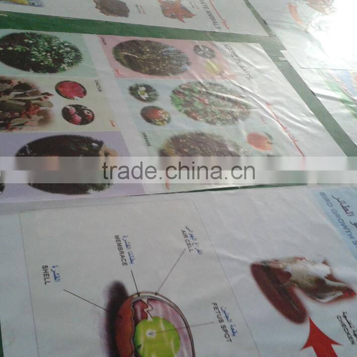 fabric material PVC flex banner