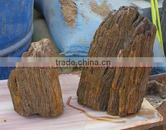 NATURAL STONE PETRIFIED WOOD TILES SLABS