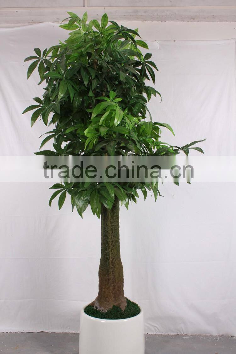 China hot sale evergreen fake money tree ,artificial Pachira
