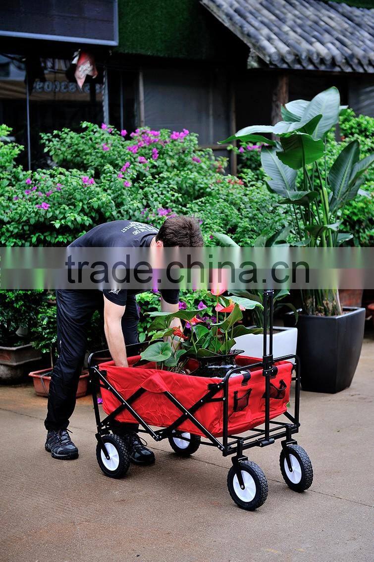 Picnic/Shopping Cart