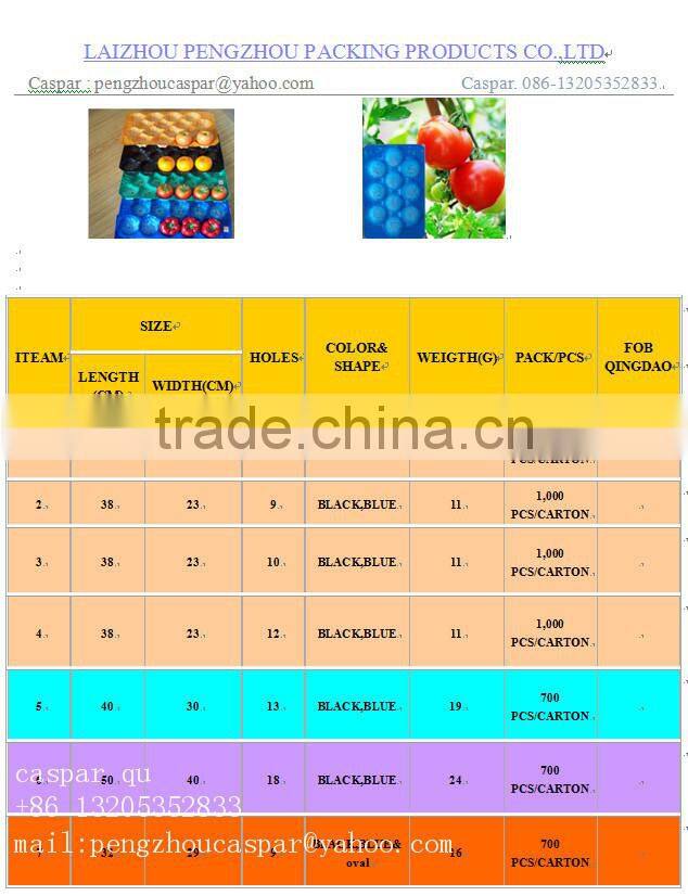 Custom Wholesale 39x59cm PP Thermoforming Container Tray