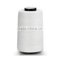 100% spun polyester sewing thread 20/2 20S/2 202