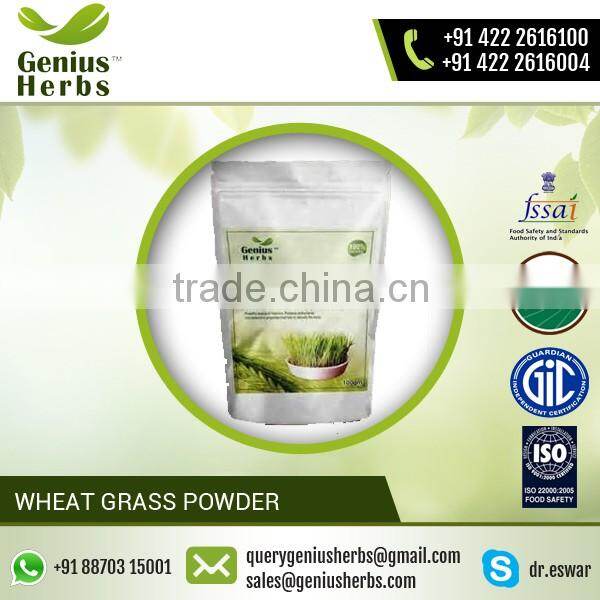 Energy Booster Wheat Grass Powder from Leading Manufacturer at Premium Rate