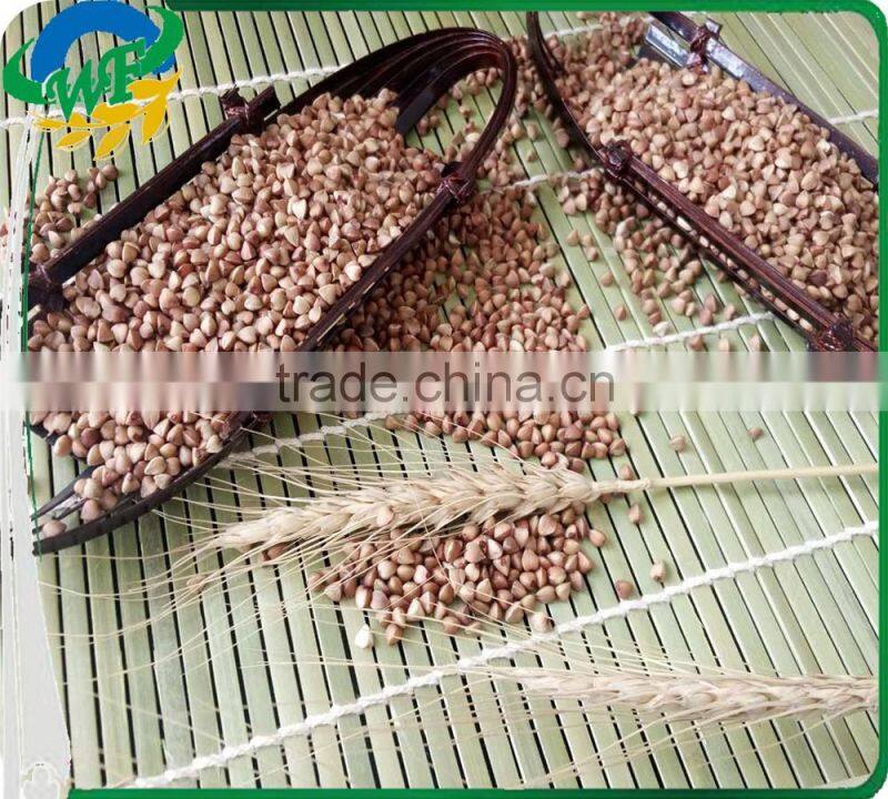 Chinese Roasted Buckwheat Kernel to GEORGIA AND RUSSIAN