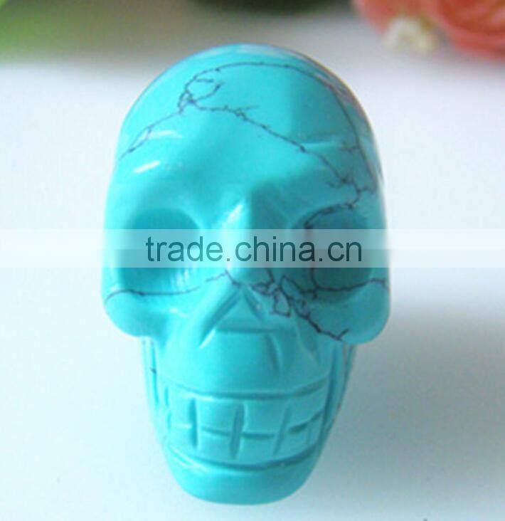 skull model human for sale