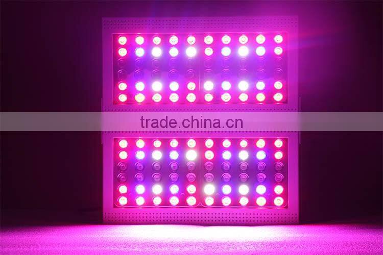 Alibaba best sellers full spectrum 300W led grow lights