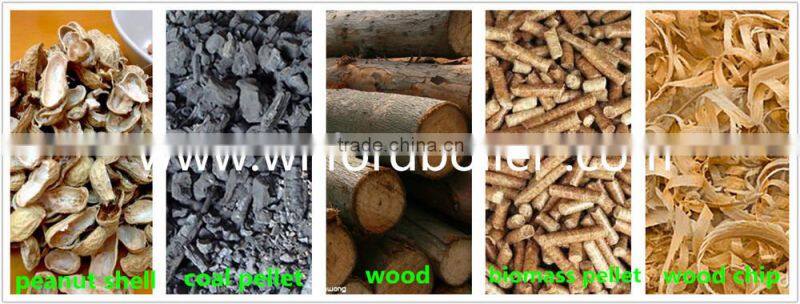 Vertical Shell Type Steam Boiler Fuel Wood Chip