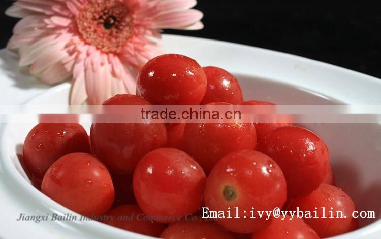 Bright Red Color Canned 28-30% Tomato Paste