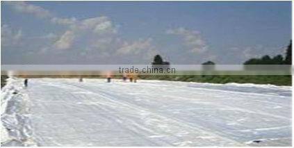 Polyester Woven Geotextile