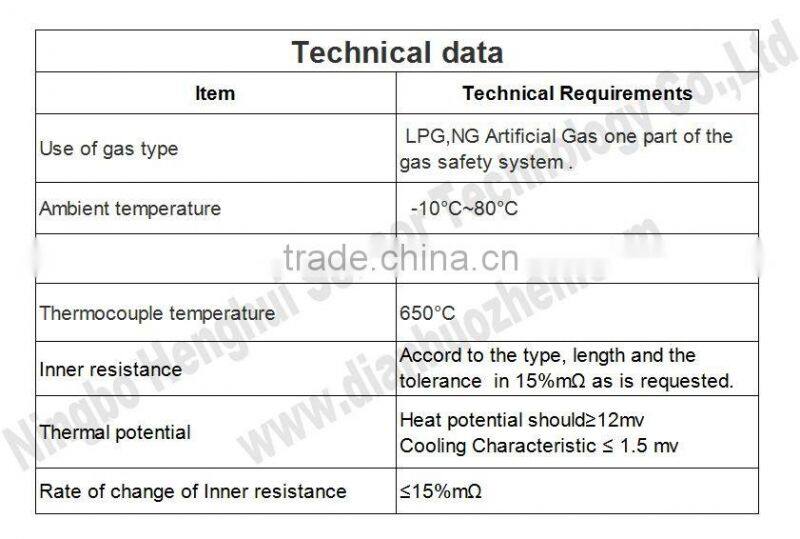 NBZH 2016 High efficient customized gas Thermocouple