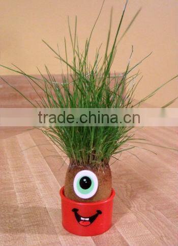 DIY grass head dolls plants for birthday gift