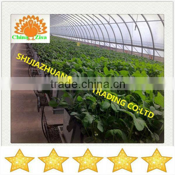 agricultural equipment plant stand in greenhouse