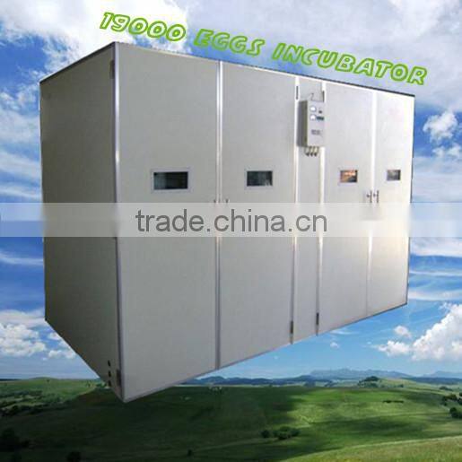 3100 chicken eggs incubator/fully automatic new designed egg incubator