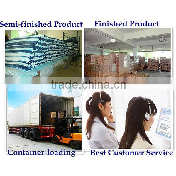 Long Lasting Effective Blue WC Toilet Blocks