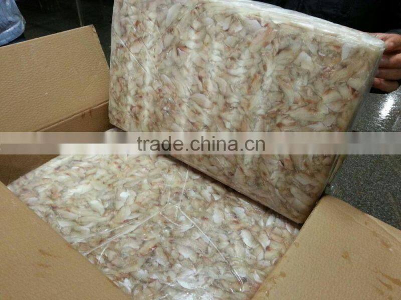 frozen leather jacket fish