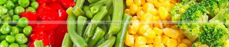 frozen vegetables IQF bulk Frozen cut green beans