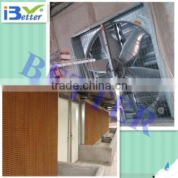 BT Factory high quality commercial auto cleaning systerm for poultry farm (welcome to my factory)