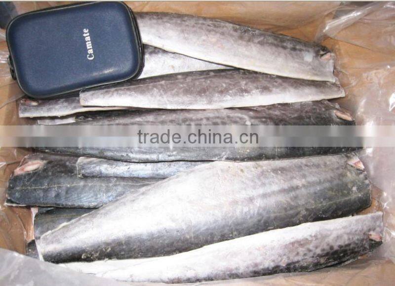 FROZEN KINGFISH SPANISH MACKEREL