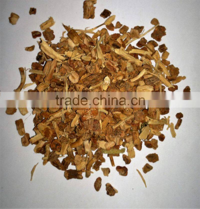 Organic Hemidesmus indicus