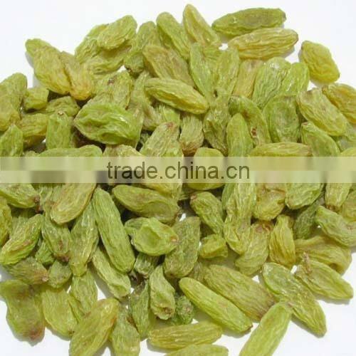 xinjiang raisins sultana raisins golden raisin