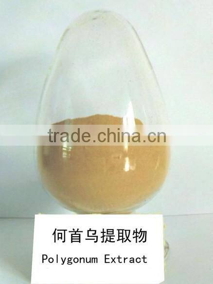 GMP Manufacturer Supply Natural Polygonum Multiflorum Extract