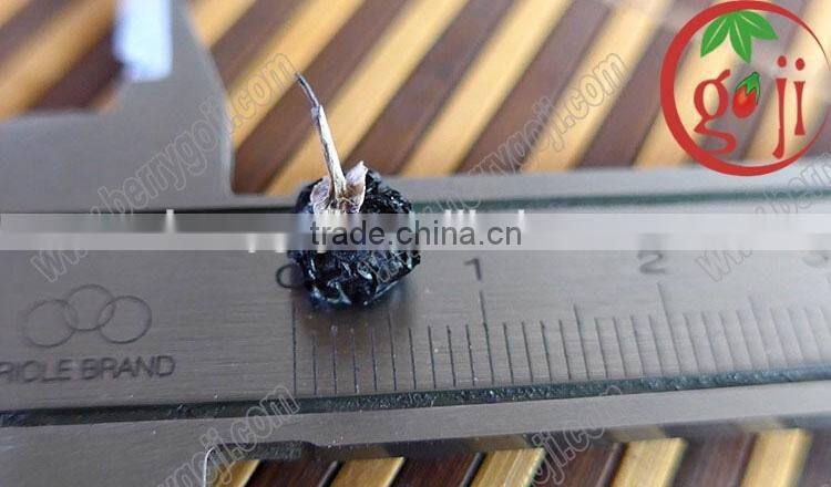 Manfacturer supply Chinese Black Goji Berries