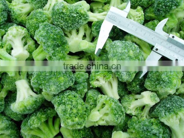New crop frozen broccoli