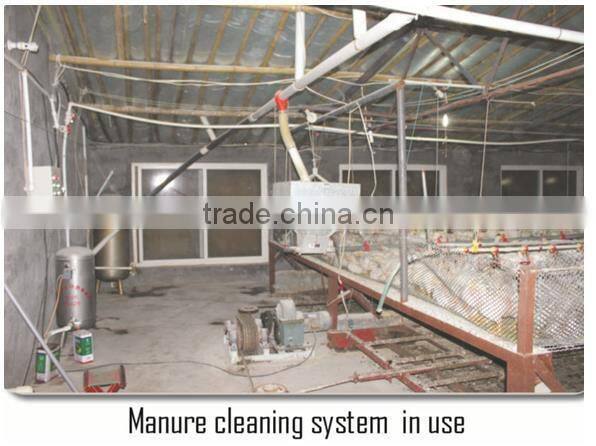 Goldenest poultry farm automatic manure removal system