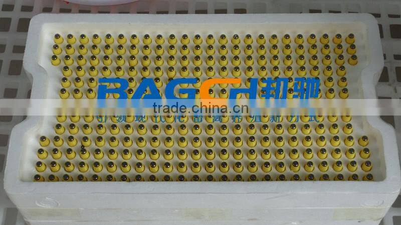 Ready Sale Chicken Farming Materials/Equipment for Poultry