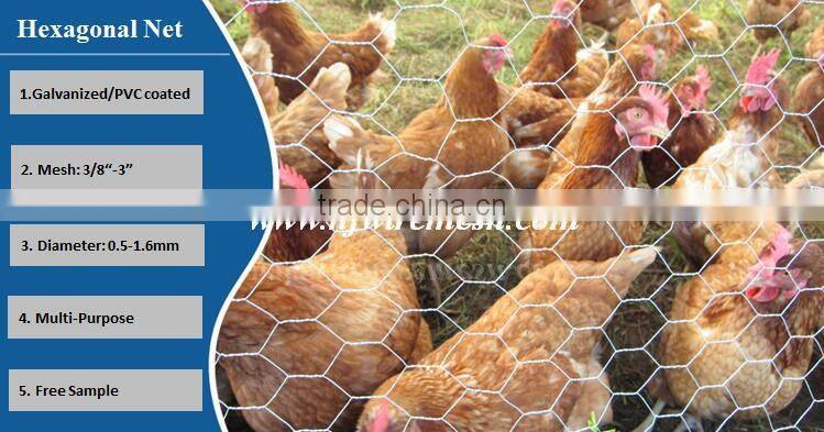 Hexagonal Hole Shape Q195 Galvanized Iron Wire hexagonal wire netting(Guangzhou Factory)