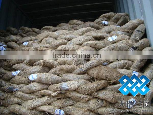 Black Annealed wire/Wire Rod