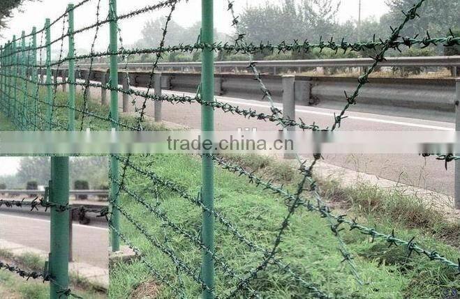 Galvanized iron Coiled Barbed Wire