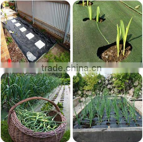 PP ground cover,weed barrier Fabrics, weed mat in strawberry garden