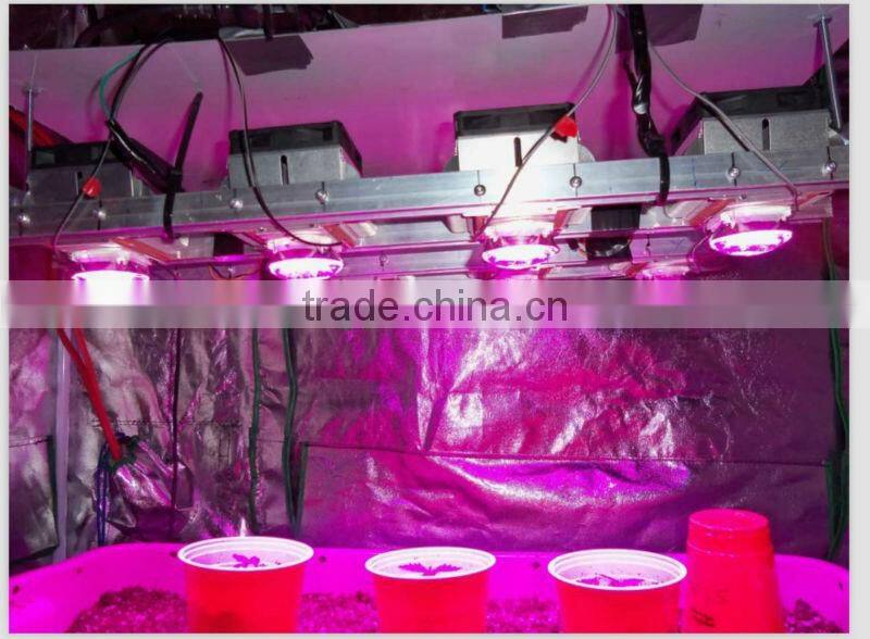 2017 20w full spectrum wavelength 380 840nm cob led grow bead for diy indoor plant flower and veg growing