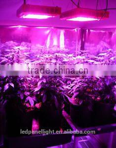 TwiLight 2014 choice quality best led grow lights 1000w shenzhen