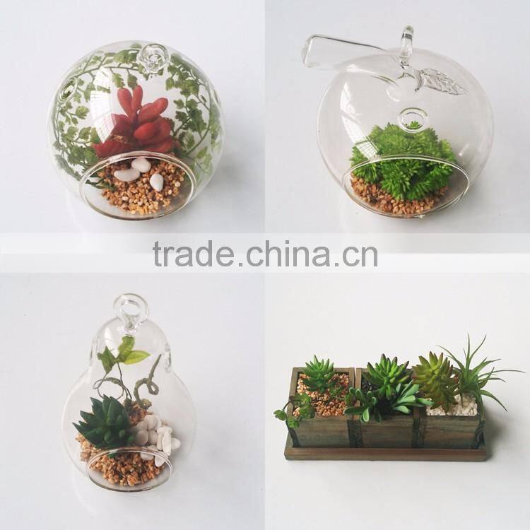 wholesale ornamental plants small plastic succulent plant bonsai