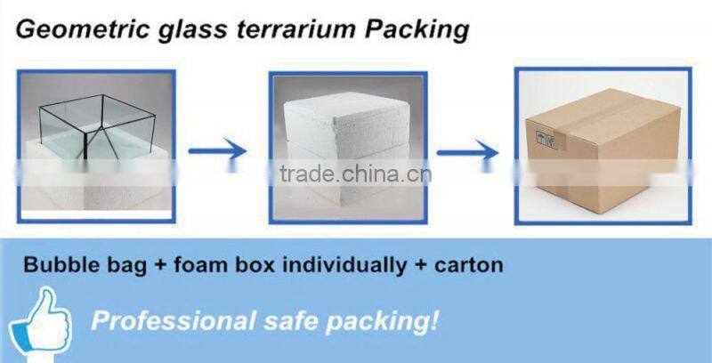 Hanging glass terrarium/ clear glass terrarium globe/ glass ball terrarium