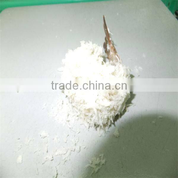 best season iqf frozen fresh prawns